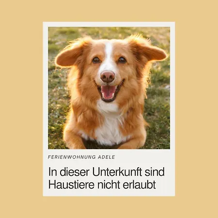 Apartman Adele Objekt-id 12114-8 Gross Varchow