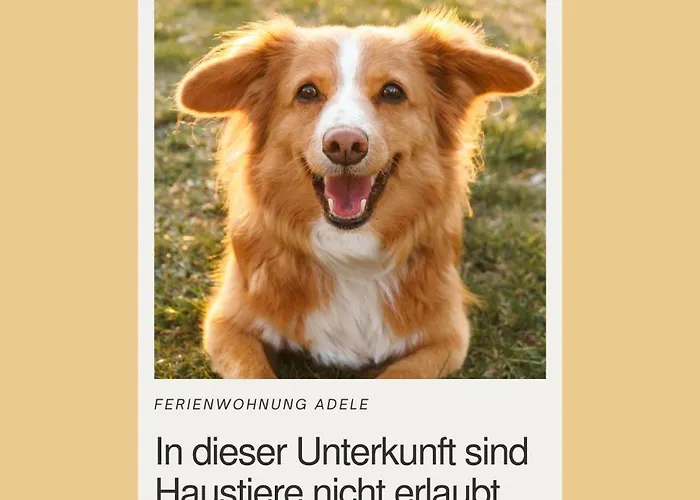 דירה Adele Objekt-id 12114-8 Gross Varchow