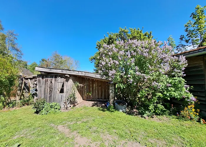 דירה Adele Objekt-id 12114-8 *